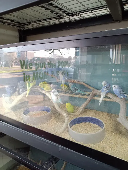 50 Fathoms Pet Shop Picture 9