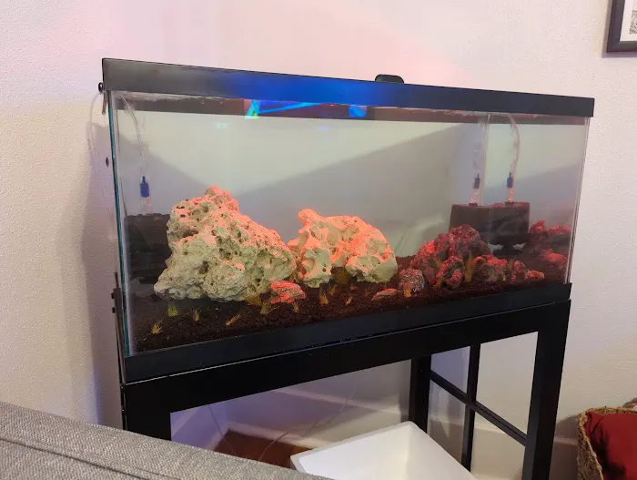 50 Fathoms Pet Shop Picture 8