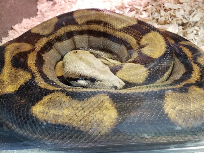 50 Fathoms Pet Shop Picture 7