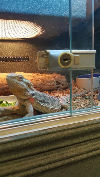 50 Fathoms Pet Shop Picture 10