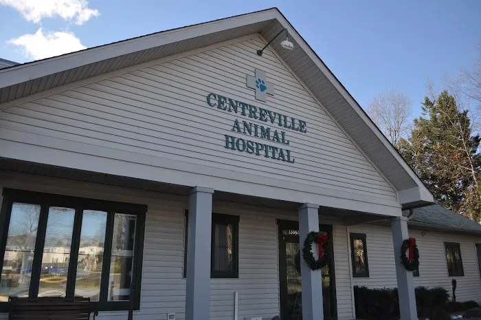 VCA Centreville Animal Hospital Picture 1