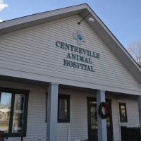 VCA Centreville Animal Hospital ico