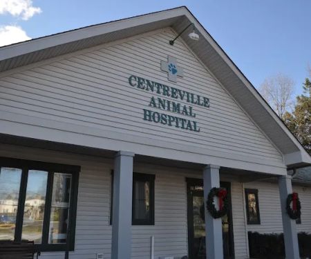 VCA Centreville Animal Hospital