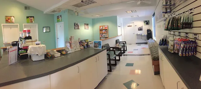 VCA Centreville Animal Hospital Picture 6