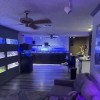 Coral Connection ico