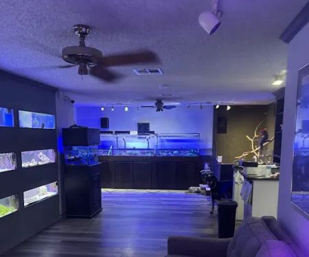 Coral Connection