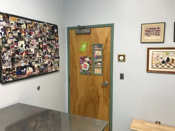 Clifton-Centreville Animal Clinic Picture 1