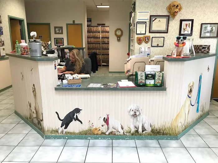 Clifton-Centreville Animal Clinic Picture 6