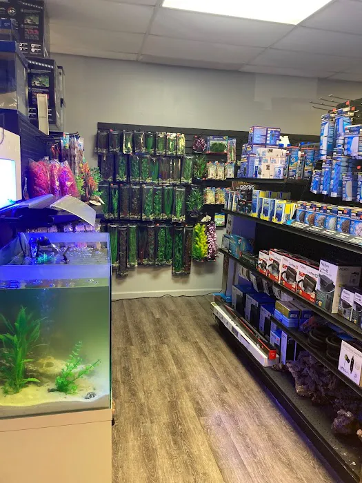 Aquatic Fish & Pets Picture 2