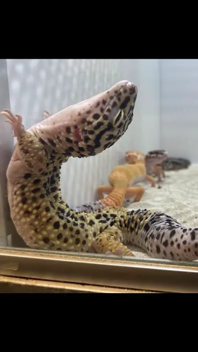 Aquatic Fish & Pets Picture 1