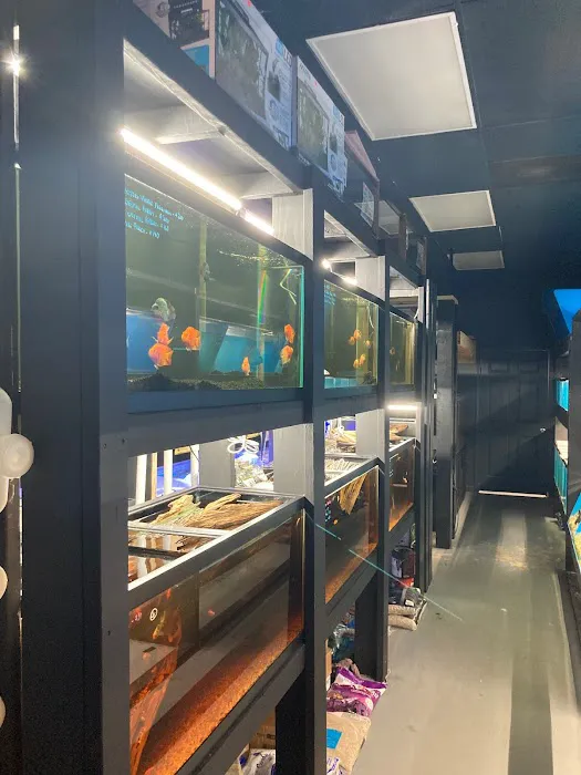 Aquatic Fish & Pets Picture 6