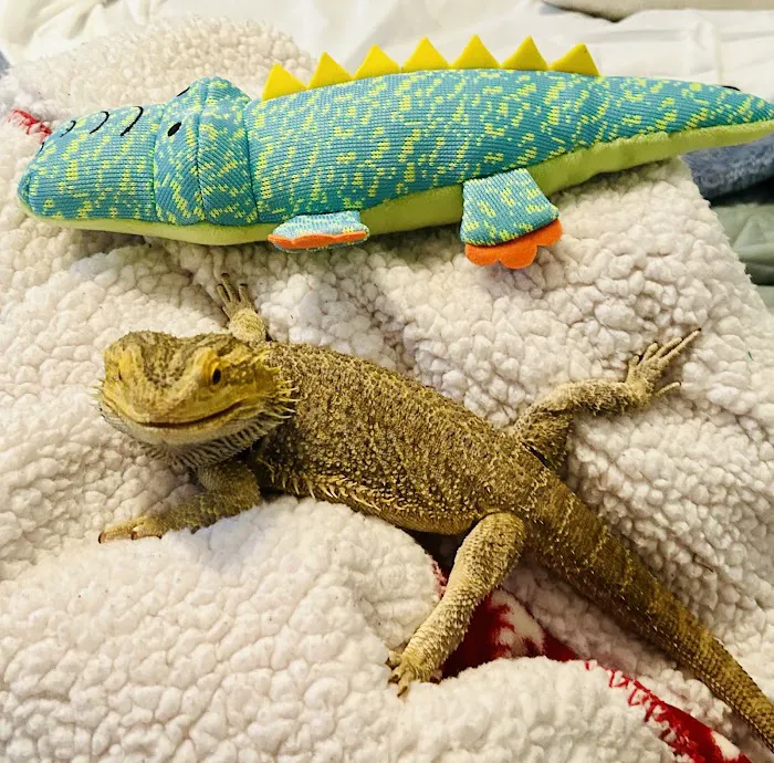 Aquatic Fish & Pets Picture 3