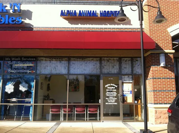 Alpha Animal Hospital Picture 4
