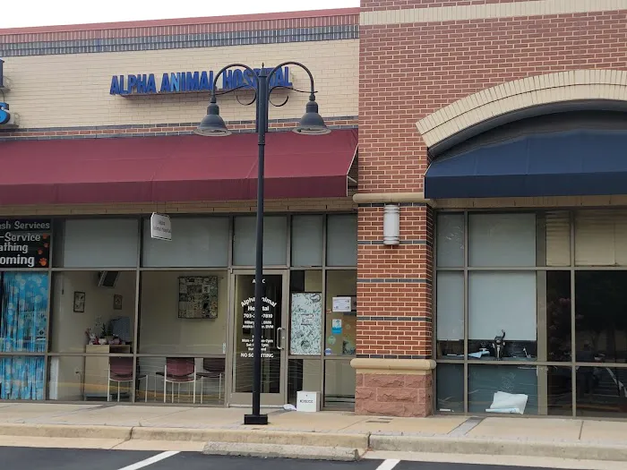 Alpha Animal Hospital Picture 5