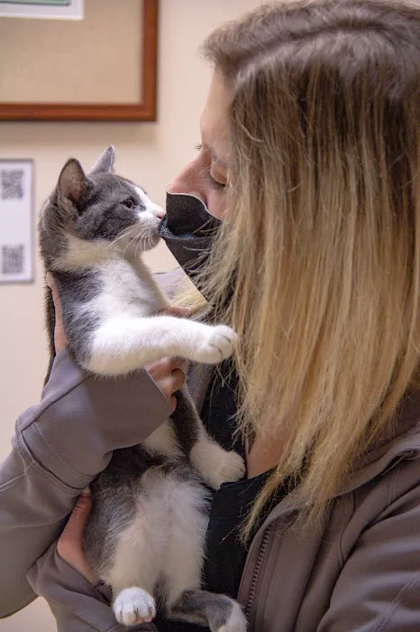 Alpha Animal Hospital Picture 9