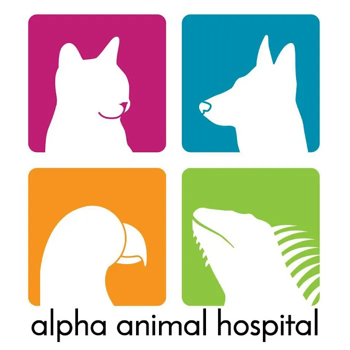 Alpha Animal Hospital Picture 8