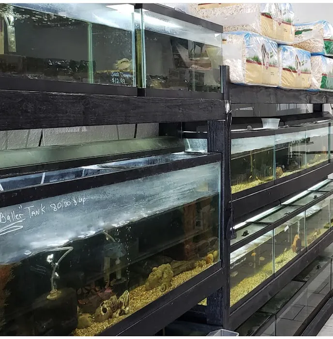N.O. East Pet Supply Picture 8