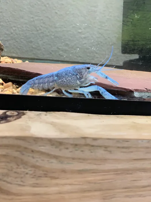 N.O. East Pet Supply Picture 10