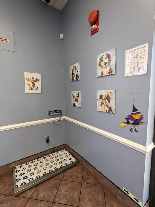 Centreville Square Animal Hospital Picture 9
