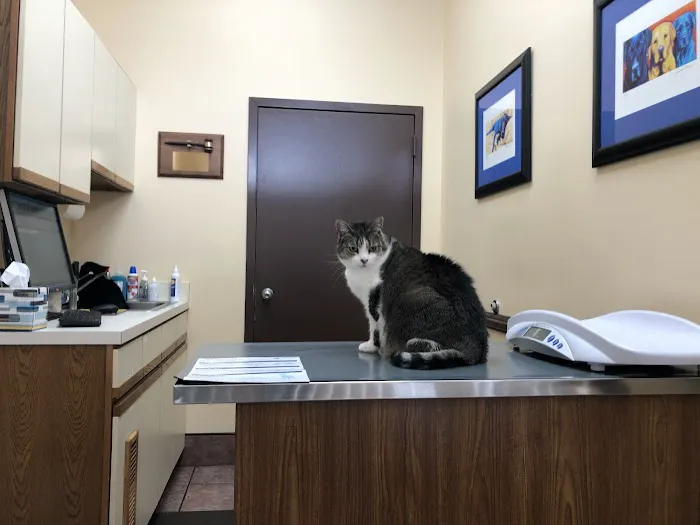 Centreville Square Animal Hospital Picture 5