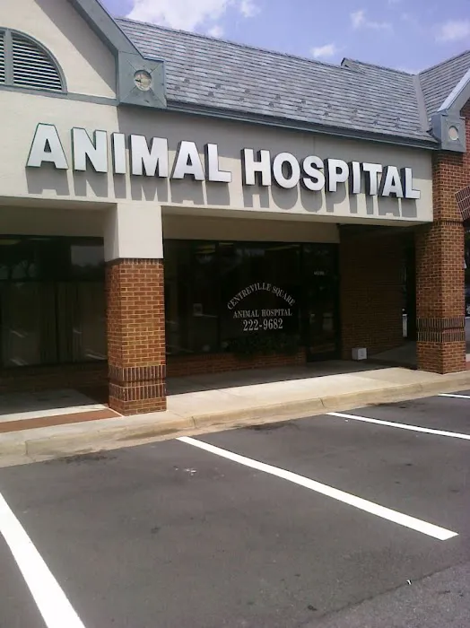 Centreville Square Animal Hospital Picture 7