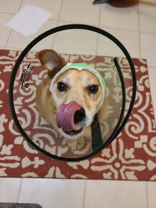 Centreville Square Animal Hospital Picture 2