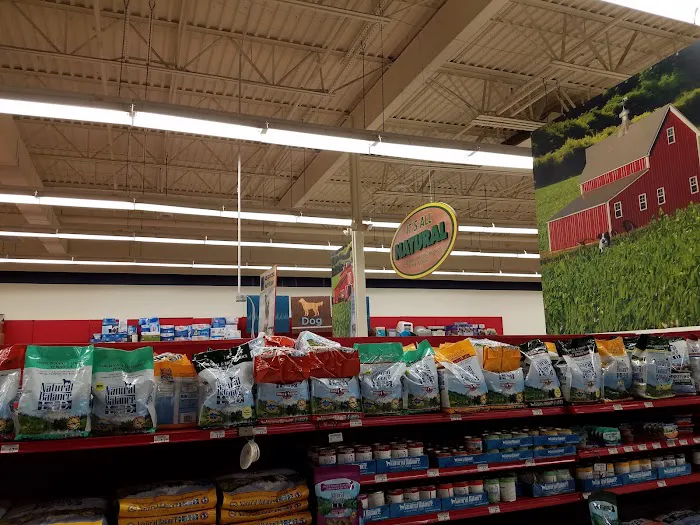 Petco Picture 4