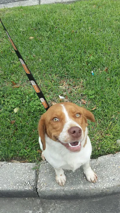 Petco Picture 7