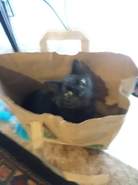Petco Picture 10