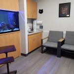 Well Whiskers: Veterinary Holistic Care