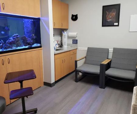 Well Whiskers: Veterinary Holistic Care