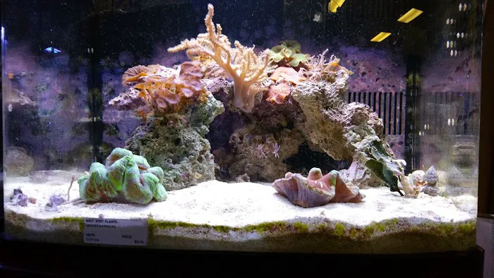 Aquatic Specialties,Inc. Picture 2