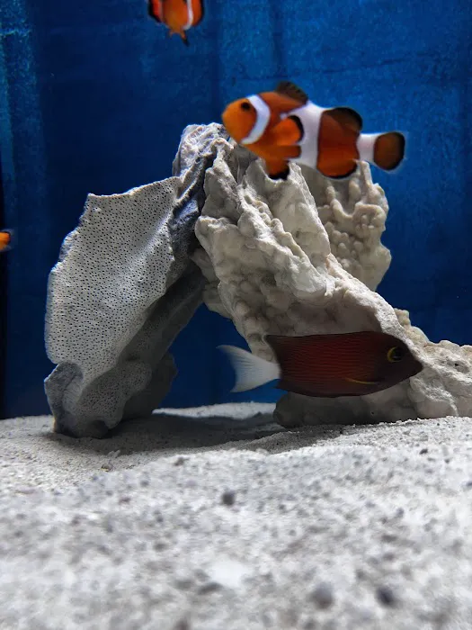 Aquatic Specialties,Inc. Picture 5
