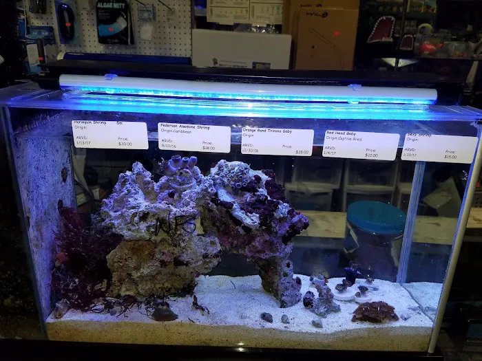 Aquatic Specialties,Inc. Picture 9