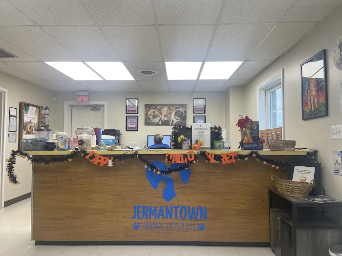 Jermantown Animal Hospital Picture 5