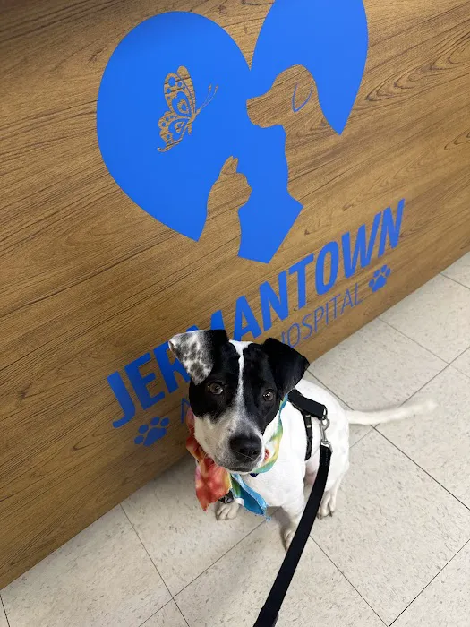 Jermantown Animal Hospital Picture 10