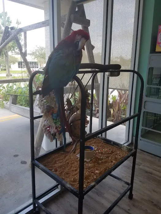 Bayou Pets Picture 7
