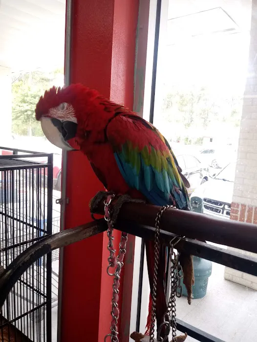 Bayou Pets Picture 3