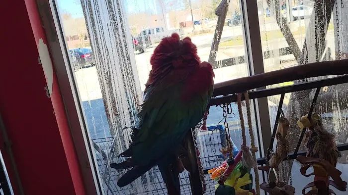 Bayou Pets Picture 2