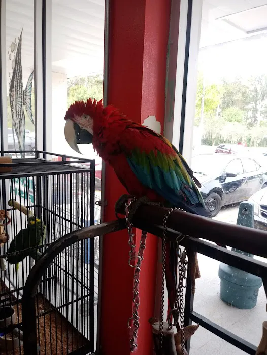 Bayou Pets Picture 6