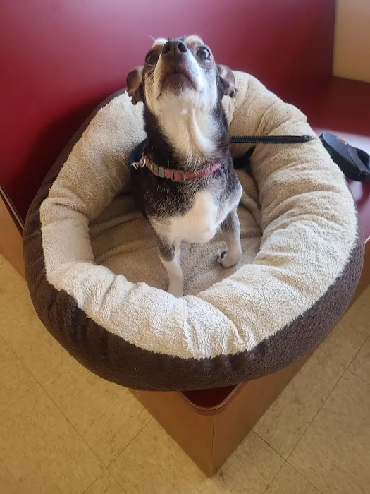 Tango Animal Hospital Picture 3