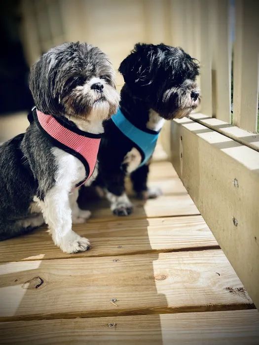 Tango Animal Hospital Picture 5