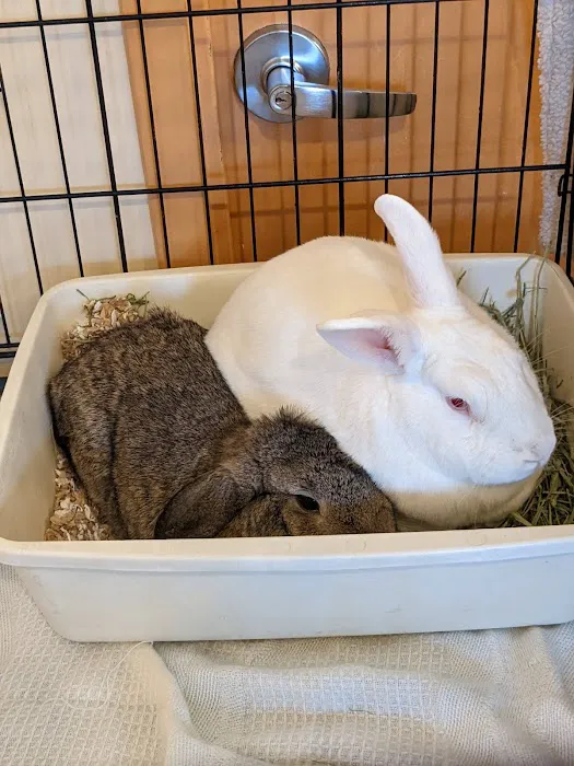Tango PET DEPOT Picture 5