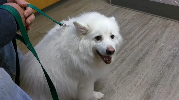 Compassion Animal Hospital Picture 3