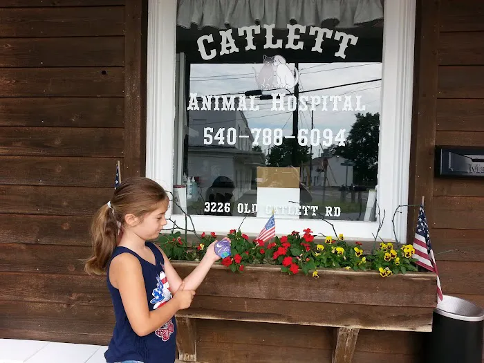 Catlett Animal Hospital Picture 6