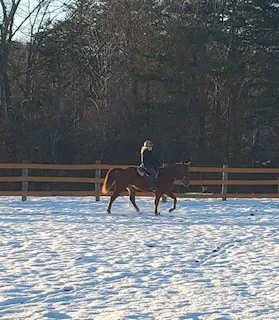 Full Circle Equine Services Picture 1