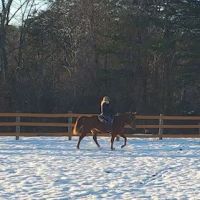 Full Circle Equine Services ico
