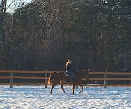 Full Circle Equine Services