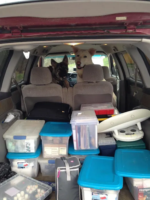 Animals First Veterinary Service Picture 7