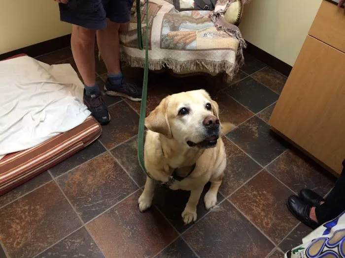Animals First Veterinary Service Picture 6